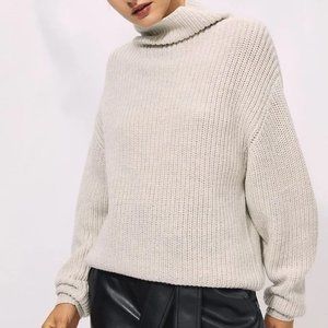 NWT Aritzia Montpellier sweater